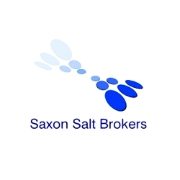 Saxon-Salt-x500