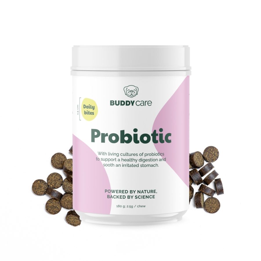 Buddy Care Probiotic Daily Bites