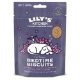 Lilys Kitchen Dog Bedtime Biscuit Treats with Honey, Yogurt & Passion Flowers