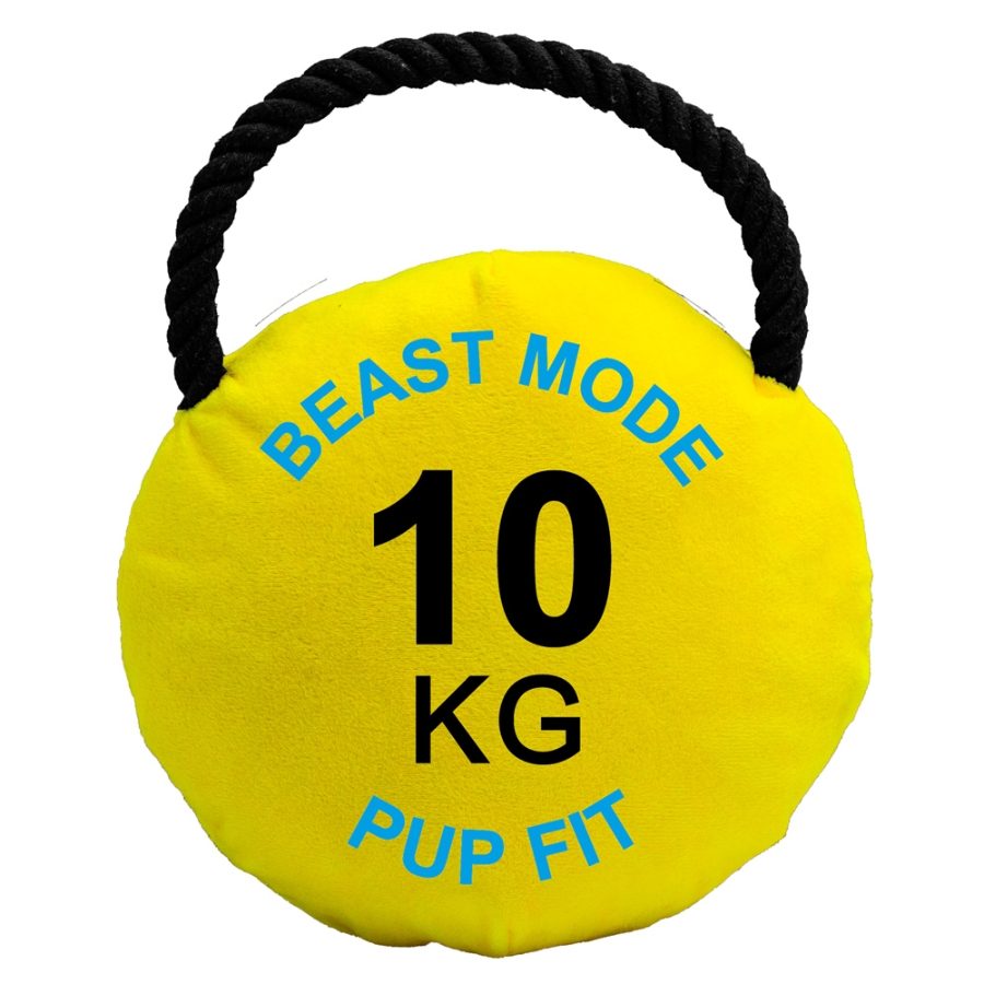 Dog Life Pupfit Weight Kettlebell