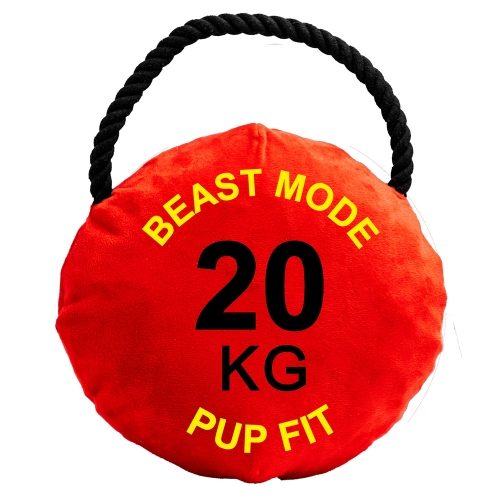 Dog Life Pupfit Weight Kettlebell