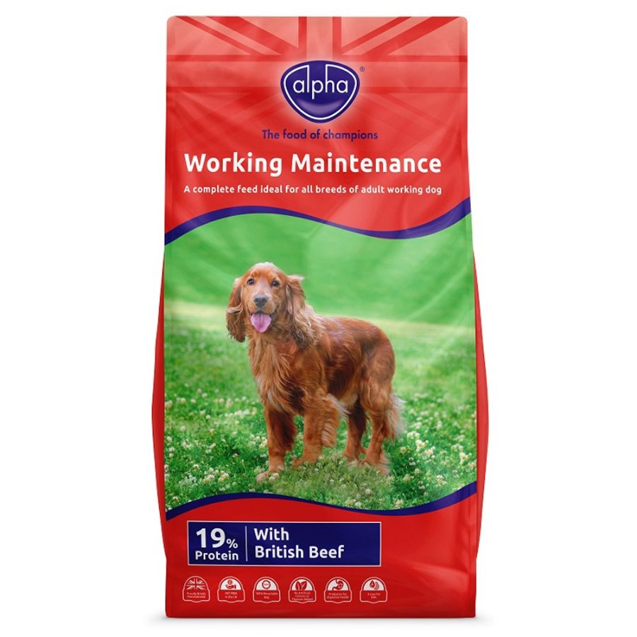Alpha Adult Worker Maintenance with Beef & Rice