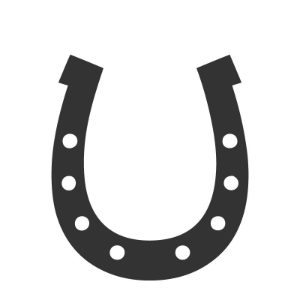 Horse Accessories