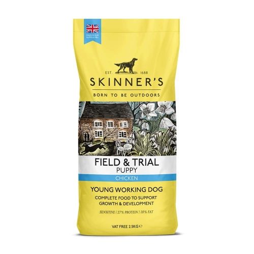 Skinners Field & Trial Puppy