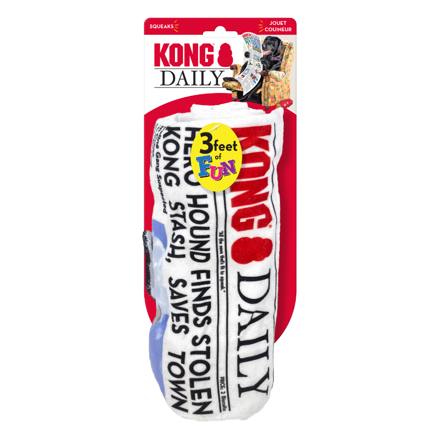 K493 KONG Daily Newspaper Extra Large RK