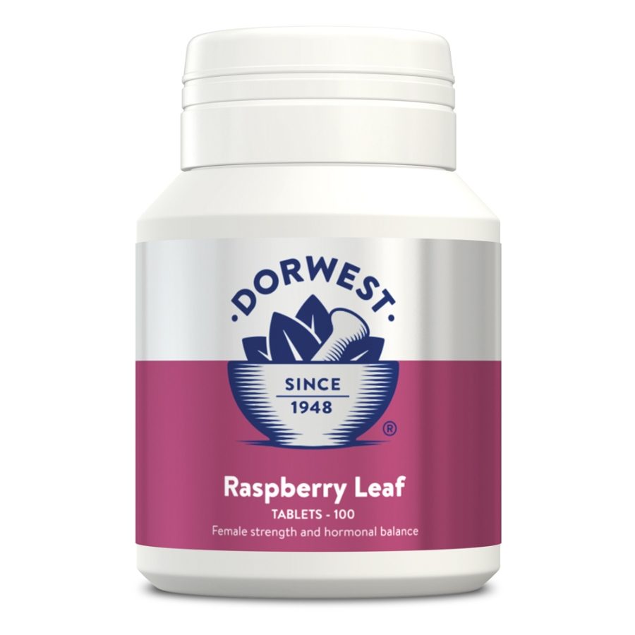 Dorwest Raspberry Leaf