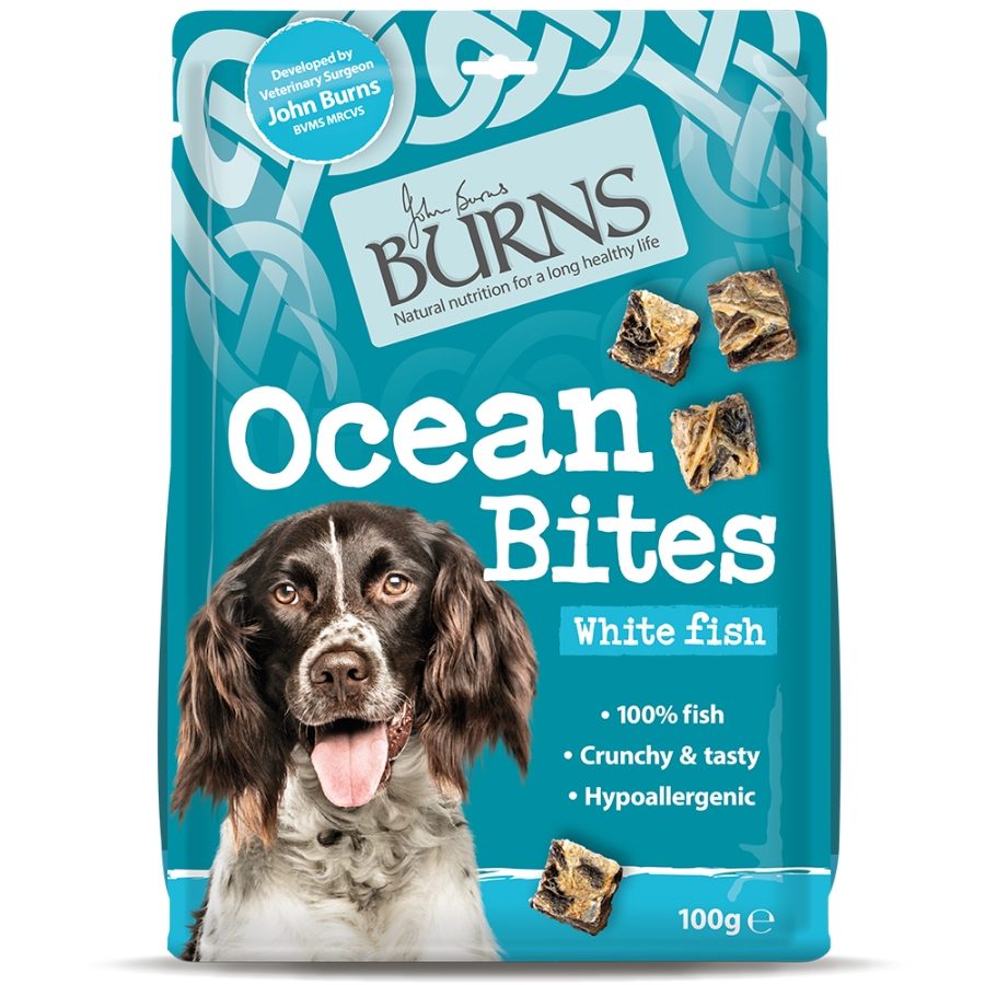 Burns Ocean Bites