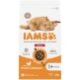 Iams Cat Advanced Nutrition Indoor Chick